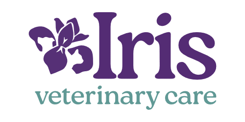 Logo for Iris Veterinary Care featuring a stylized purple iris flower next to the word “Iris” in large purple font, with “veterinary care”—your trusted in home euthanasia vet—below in smaller teal-green letters on a white background.