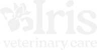 The image shows the logo for Iris Veterinary Care. The word "Iris" is large, with a paw print over the letter "I," and "veterinarian care" is written below in smaller text—perfect for those searching for a reliable vet near me.