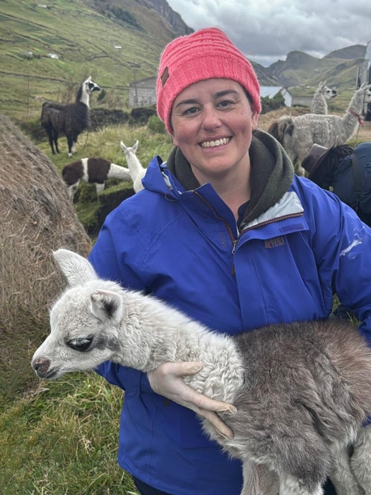 A person in a blue jacket and pink beanie smiles while holding a baby llama. Several llamas and green hills are visible in the background under a cloudy sky, perhaps waiting for their mobile veterinarian to arrive.