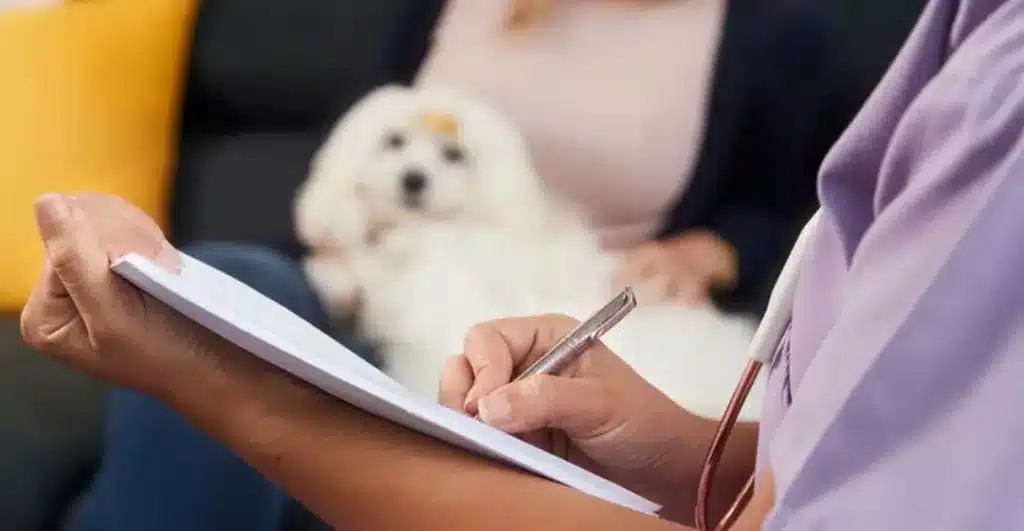 A veterinarian in scrubs writes on a clipboard while another person sits on a couch in the background, holding a small white dog on their lap—capturing the compassionate care of an in home euthanasia visit.